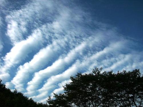 但是系统性波状云,像卷积云是在卷云或卷层云上产生波动后演变成的