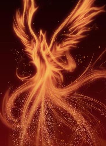 短剧-+搜搜百科