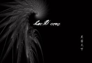 黑客 - 搜搜百科