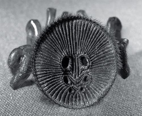 螲蟷为最有名的活板门蛛