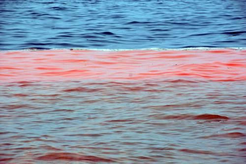 蓬莱19-3油田溢油事故