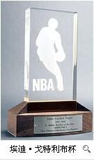 NBA年度最佳新秀奖