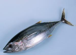 新陈代谢 - 搜搜百科