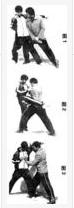 八级拳