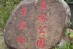 蕉石岭森林公园