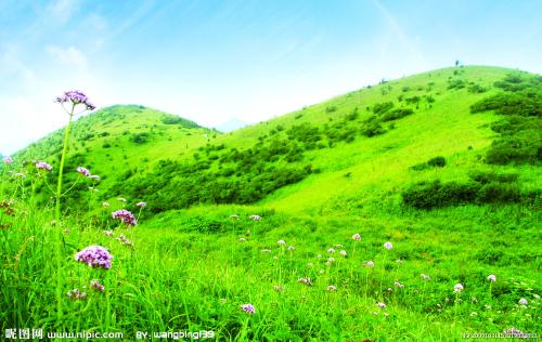 全部版本 最新版本         中国高山草甸土主要分布于青藏高原东部的