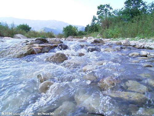 水至清则无鱼人至察则无徒