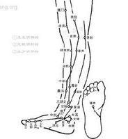地机穴,位于人体的小腿内侧,当内踝尖与阴陵泉穴的连线上,阴陵泉穴