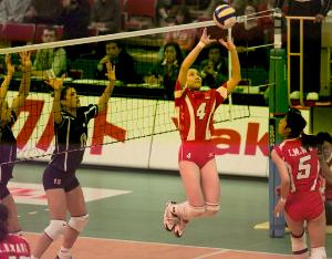 意大利<em>国家女子排球队</em> - 搜搜百科