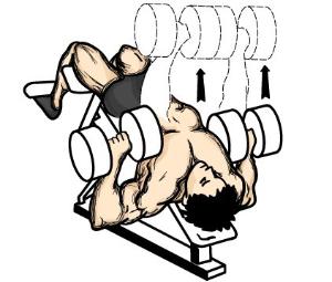 哑铃卧推 - 搜搜百科