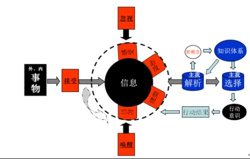 认知心理学