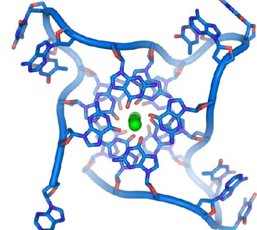 端粒酶性价比 源头康端粒酶质量好推荐