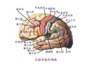 按病因可分为原发性和继发性两类