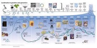 基因组图片大全_基因组图片下载