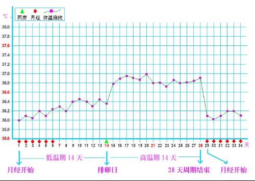 基础体温高的主要原因