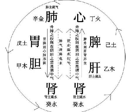 黄元御+-+搜搜百科