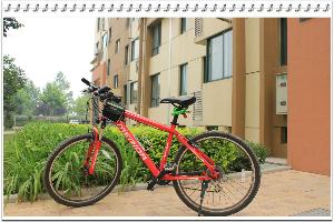 美利达2011年新推出的公爵-300