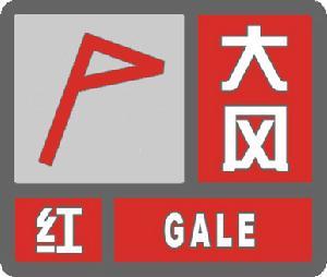 大风预警信号