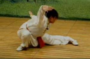 少林鹰爪拳