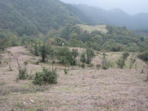 一个排有多少人_一个团有多少人_一个营有多