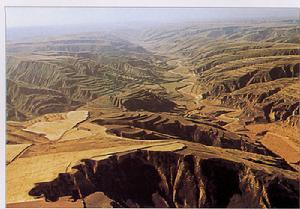 现今鄂尔多斯高原东南发育了典型的黄土地层和