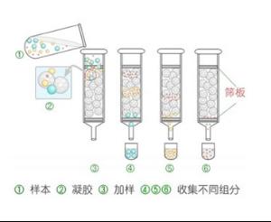 层析技术的原理和分类