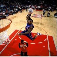 内特.罗宾逊之凯尔特人