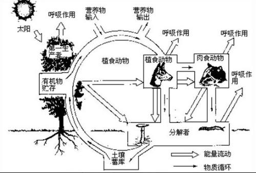 20120419004329-939785611.jpg