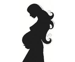  产假 -+搜搜百科