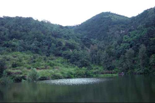 槲树湾旅游风景度假区