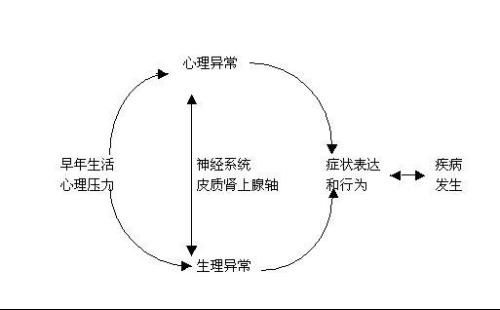 20120421031714-818324210.jpg