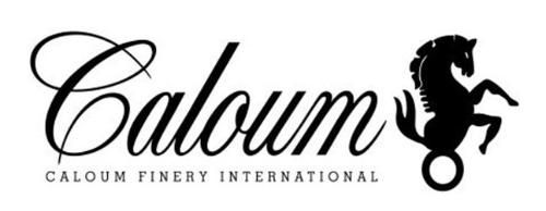 卡罗马【caloum】是上海督马服饰有限公司专注为男士提供中高档服装