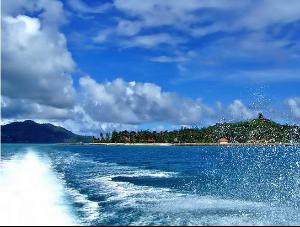 海洋国际旅行社 - 搜搜百科