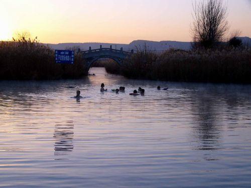 合阳提线木偶戏