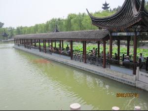 国家森林城市人均公园_我国森林人均占有量