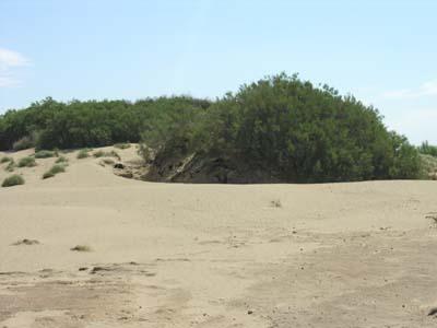 热带沙漠地区气候干旱