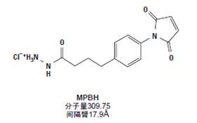 维生素b1缺乏症