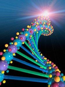 一种利用转座子或叫做"跳跃基因"的新非病毒基因传递系统的出现则提供