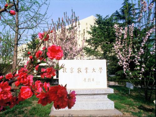中国农业大学研究生院