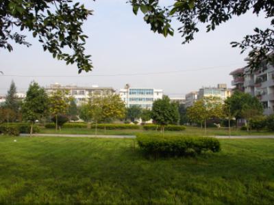易门县龙泉镇经济总量_易门县方屯中学图片