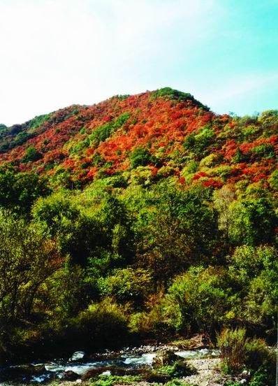 甘山森林公园