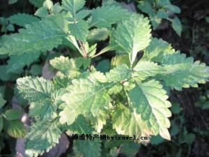 ext-20120523094733-1517907256.jpg