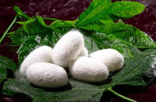 12pcs蚕丝美白面膜