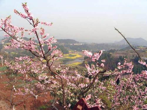 最新版本 桃花山省级名胜风景区位于