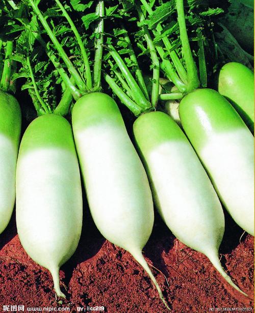 如皋长寿特产+-+搜搜百科