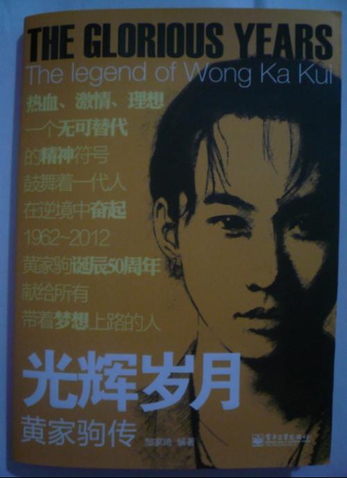 光辉岁月+黄家驹传