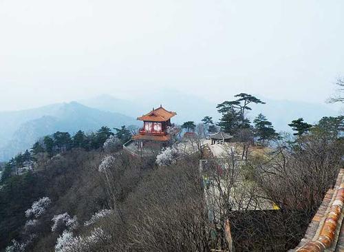 景忠山景区