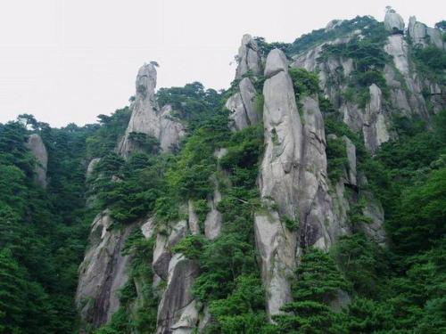 九华山中心酒店