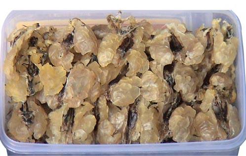 哈什蚂油+-+搜搜百科