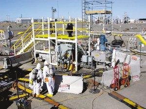 食人巨鼠+-+搜搜百科